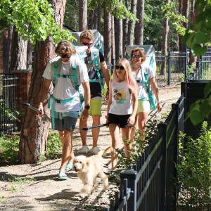 SUP OXYGEN 2025 TOURING