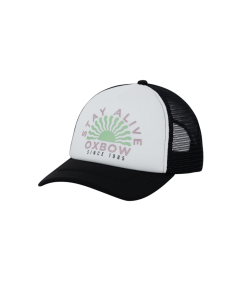 OXS917973 XBLAN Large.png