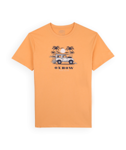 OXV931440 XCORA Large.png