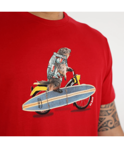 OXV930382 XDPRD Alternate 1.png