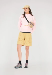 BP0237_KEPLER-WAISTPACK_LARK_D_P_01 11.15.32.jpg