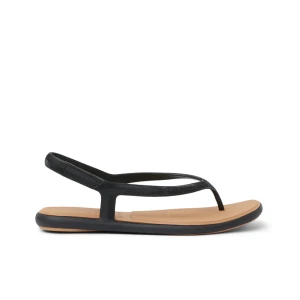 Japonki Reef 2026 Water Willow Maya Black