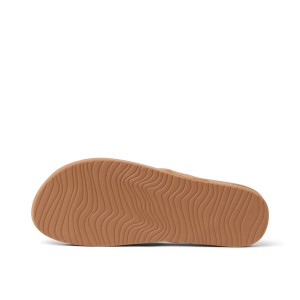 Japonki Reef 2026 Vista Ivy Almond