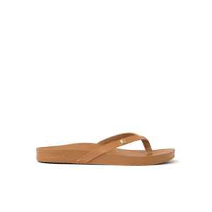 Japonki Reef 2026 Vista Ivy Almond