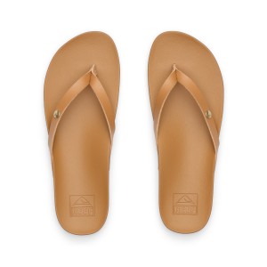Japonki Reef 2026 Vista Ivy Almond