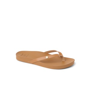 Japonki Reef 2026 Vista Ivy Almond