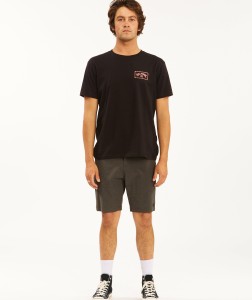 ABYWS00189 ALT Alternate 2.png