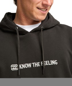 EBYFT00165 RAV Alternate 5.png