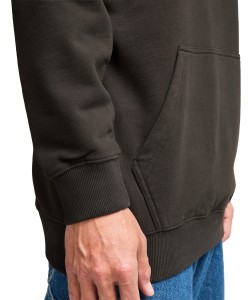 EBYFT00165 RAV Alternate 6.png