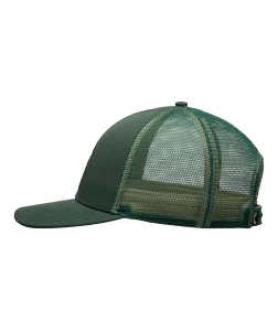 EBYHA00149 BMR0 Alternate 2.png