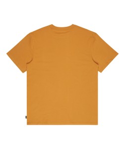 EBYKT00100 YLH0 Alternate 1.png