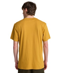 EBYKT00100 YLH0 Secondary High Res.png