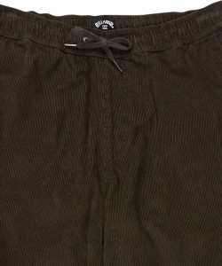 EBYNP00111 RAV Alternate 2.png