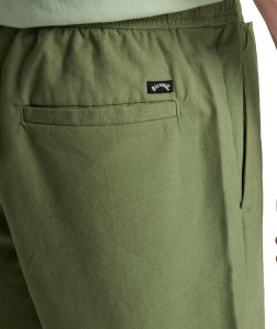 EBYWS00135 GLW0 Alternate 6.png