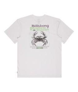 EBYZT00499 WHT Alternate 1.png