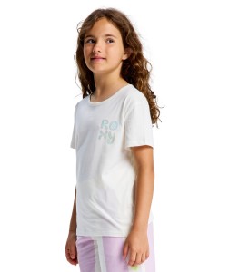 ERGZT04153 WZA0 Secondary High Res.png