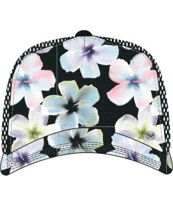 ERJHA04434 KVJ7 Primary High Res.png