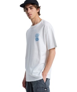 EQYZT08264 WBK0 Alternate 2.png