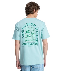 EQYZT08265 BGA0 Secondary High Res.png