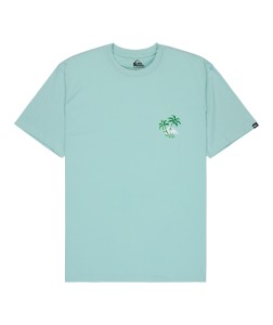 EQYZT08265 BGA0 Primary High Res.png