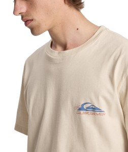 EQYZT08285 WBS0 Alternate 3.png