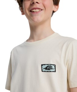 EQBZT04961 WBS0 Alternate 3.png