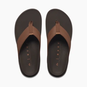 Japonki Reef 2025 The Raglan Java/Gum