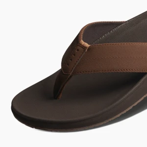 Japonki Reef 2025 The Raglan Java/Gum