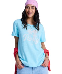 ERJZT06096 GCZ1 Primary High Res.png