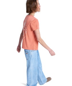 ERJZT06084 MLN0 Secondary High Res.png