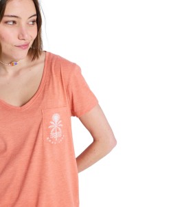 ERJZT06084 MLN0 Alternate 2.png