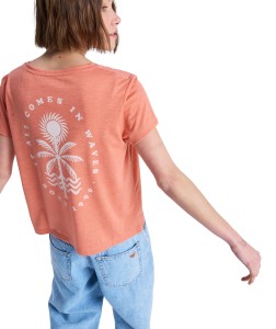 ERJZT06084 MLN0 Alternate 1.png