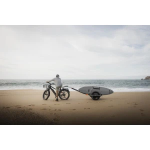 reacha-sport-beach-przyczepka-rowerowa (2).jpg