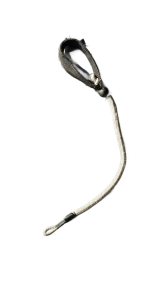 IMG_20260203_123219_Nero_AI_Background_Remover_transparent.png