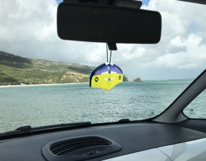 Zapach Fresh Kitesurfing Wing Duotone Unit Yellow