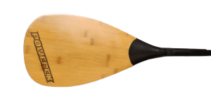 IMG_20260226_131252.png