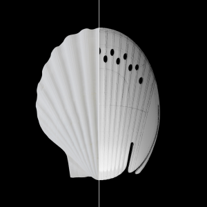 4.-SURF-CAP-BUMP-SHELL.png