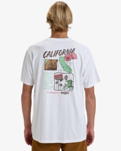 Koszulka Billabong 2025 Dreamy Place Ss Wht