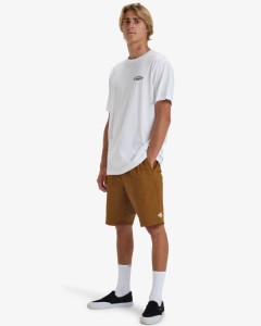 Koszulka Billabong 2025 Dreamy Place Ss Wht