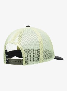 aqbha03593_quiksilver,p_cre0_bck1.jpg
