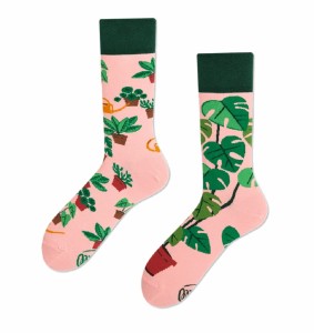 Skarpetki Many Mornings 2024 Plant Lover