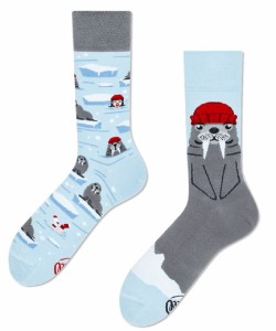 Skarpetki Many Mornings 2024 The Walrus