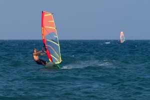 Żagiel Severne  Synergy ADULT
