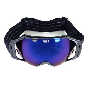 Gogle Forward WIP 2023 Flying Mask 2.0 Blk