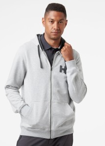Bluza Helly Hansen 2023 Logo Zip Hood Grey