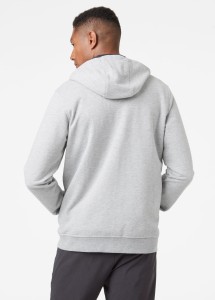 Bluza Helly Hansen 2023 Logo Zip Hood Grey
