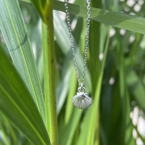 Naszyjnik Maola  Silver Shell