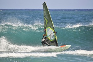 Żagiel Severne 2024 S1 Sage Green