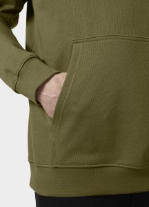 Bluza Helly Hansen 2024 Core Graphic Green