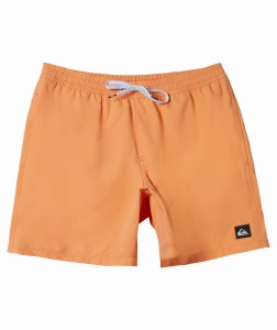 Boardshorty Quiksilver 2024 Everyday Sol B Njf